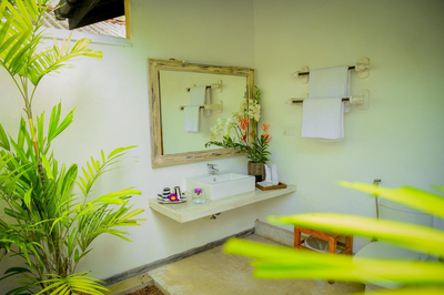 Ayurveda Villa 386