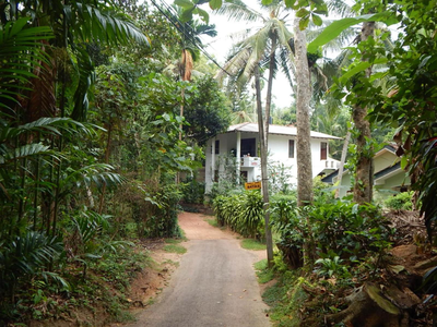Handy House