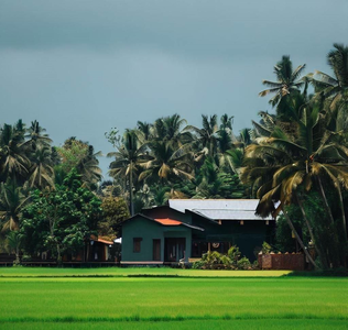 Coco Garden Holiday Homes