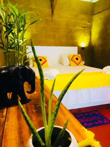 Nature Lovers Safari & Villa
