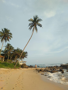 Near Beach Rest