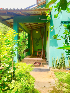 Owl's Nest Chalet