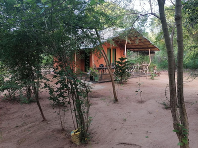 කැලෑව Jungle Eco Resort