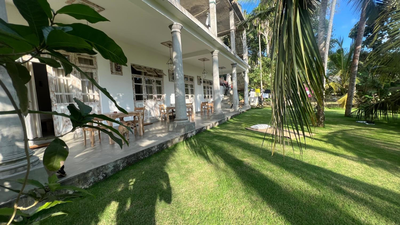 Wilson's Place