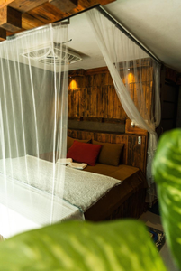 La pinchi " Pinchi's Bed "