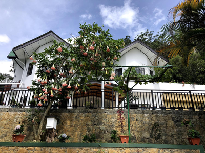 Hill Crest Holiday Bungalow