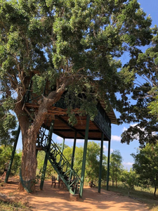 Yala Heights Inn