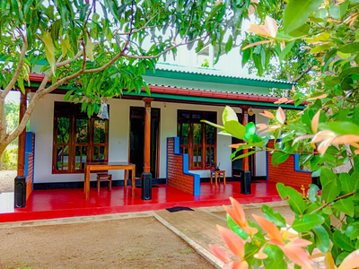 Pride Rock Villa & Tree House