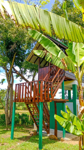 Pride Rock Villa & Tree House