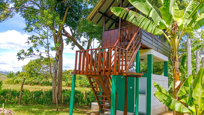 Pride Rock Villa & Tree House