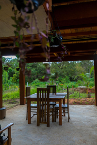 Lion Wood Treehouse