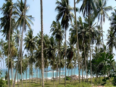 Hotel Tangoreef