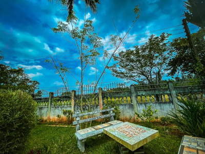 Rohans place