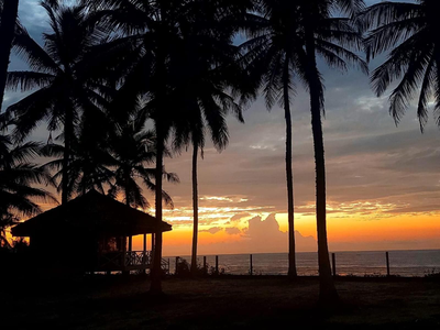 Coconut Grove Beach Cabanas