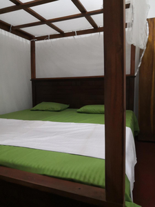 Green Villa