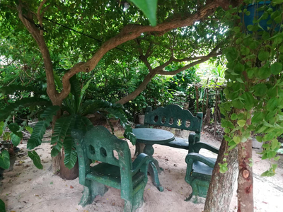 Nature Room - Habaraduwa