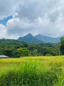 Green Nature Villa