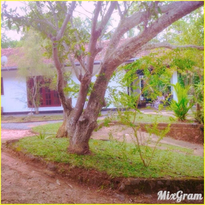 Hill Top Hostel Hikka