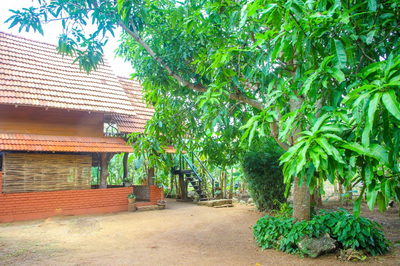 Rastha Elephant Sigiriya