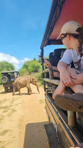 wild house safari stay