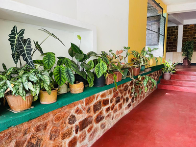 Dilusha home stay