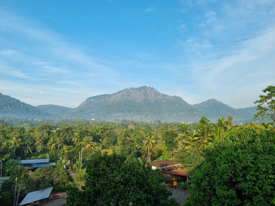 Sisila rest