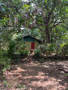 Hakuna Matata Hostel