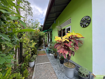 Shehan Home Stay
