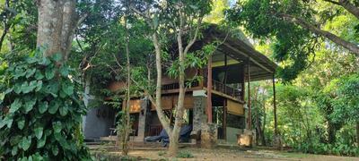Jungle House
