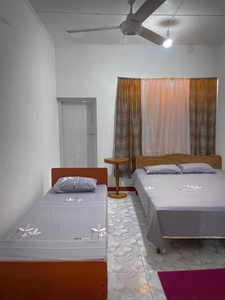 Amila Guest