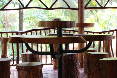 Xotic Resort