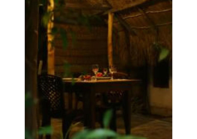 Ivory Safari House