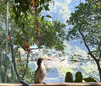 Ella Rawana Resort