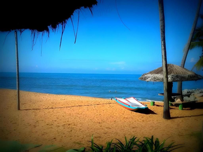 Aquarius Resort