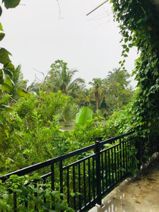 Lion house Unawatuna