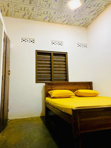 Butterfly rooms