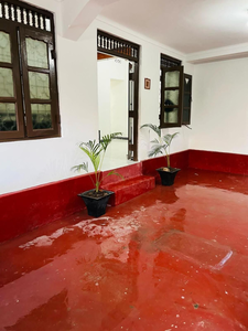 Butterfly rooms