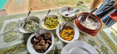 Wilpaththu Wild Garden Resort