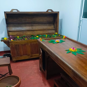 Dhighayu Ayurvedic Wellness Resort