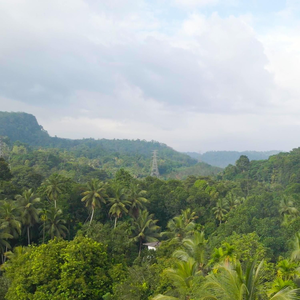 Dhighayu Ayurvedic Wellness Resort