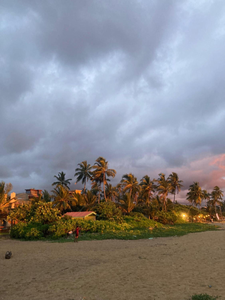 Costa's Villa, Tropical Oasis, Ella Room