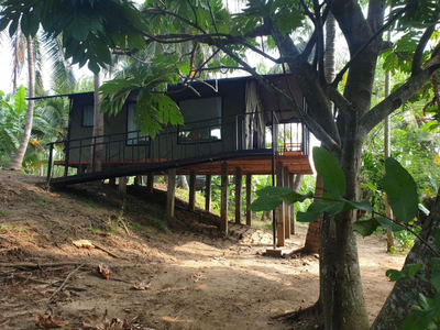 coconut camp udawalawe