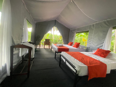 coconut camp udawalawe
