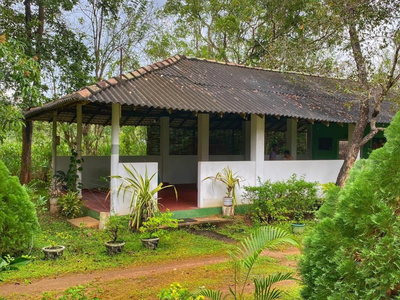Globetrotter Tourist Inn
