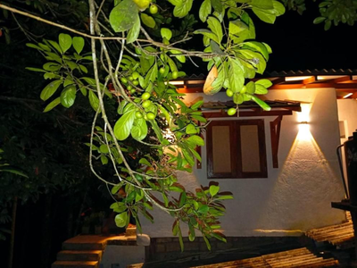 Paradise Villa & Guest House