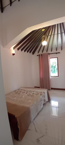 COCONUT TREE villa