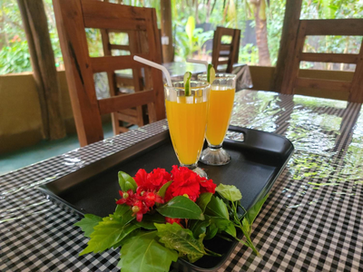 Sigiriya White Moon Resort