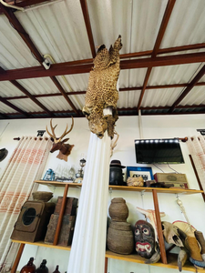 Mangala Lodge