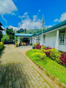 Silver Meir Bungalow