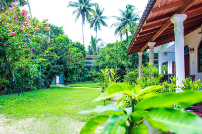 Lotus Villa